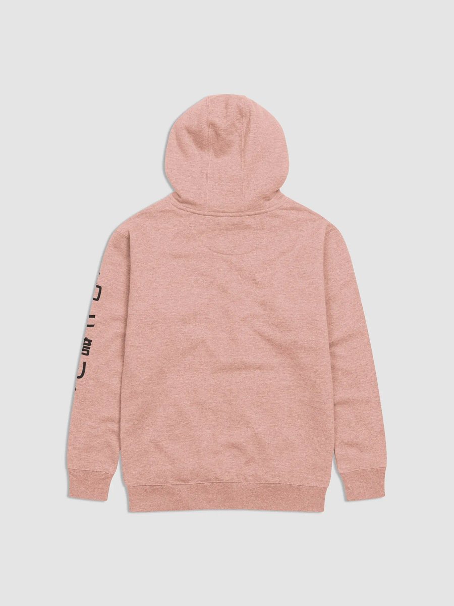 Pride and Power Hoodie product image (5)