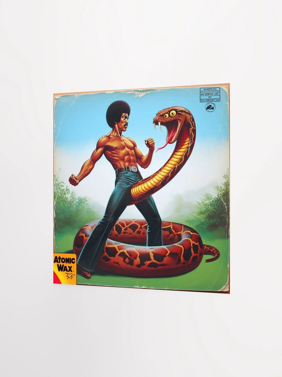 Kung Fu D*ck Poster product image (4)