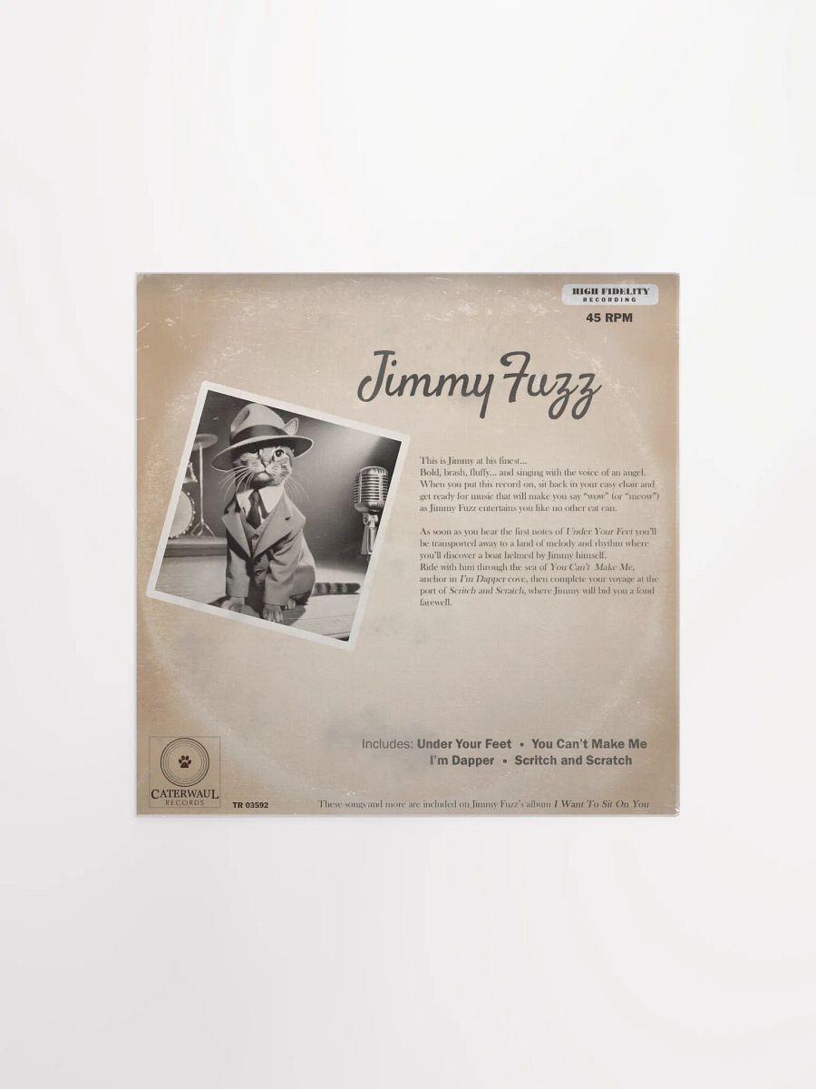 Jimmy Fuzz poster - Under Your Feet album jacket (back) - 12