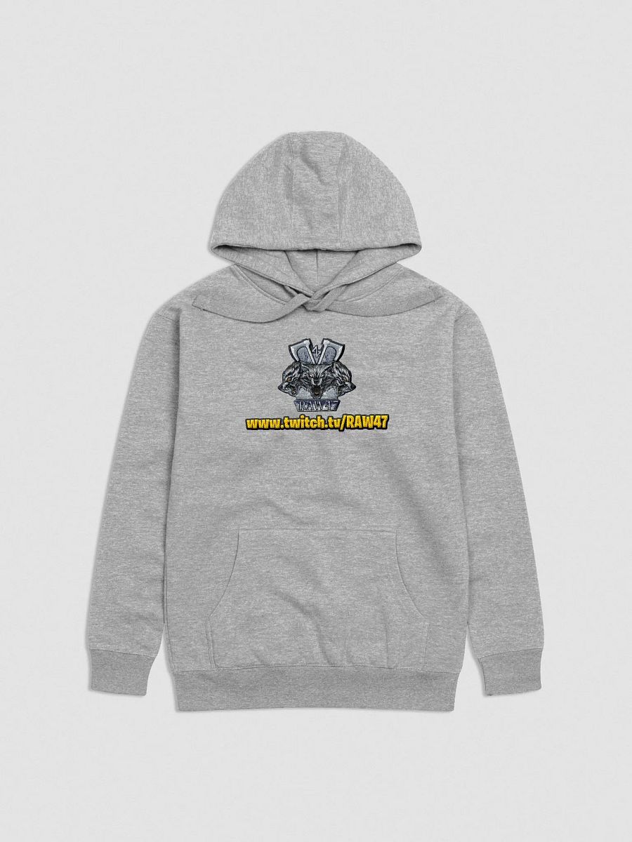 RAW47 (Embroidered Hoodie) product image (1)