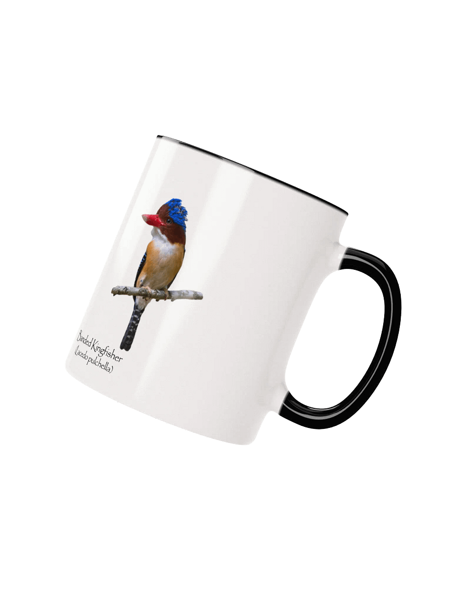 Banded Kingfisher mug product image (2)