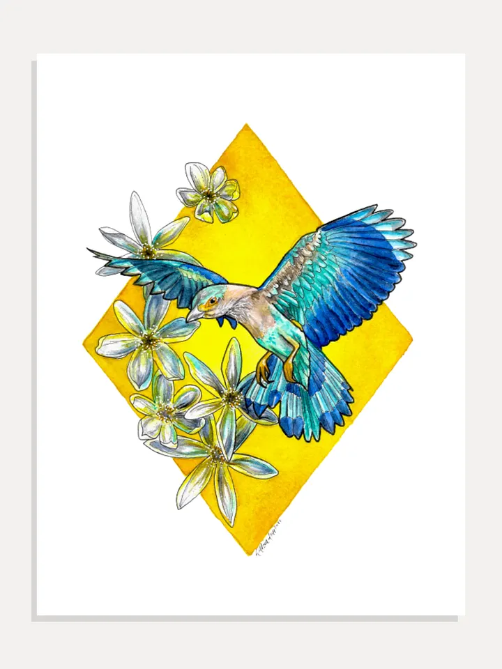 Indian Roller Bird Giclée Art Print product image (1)