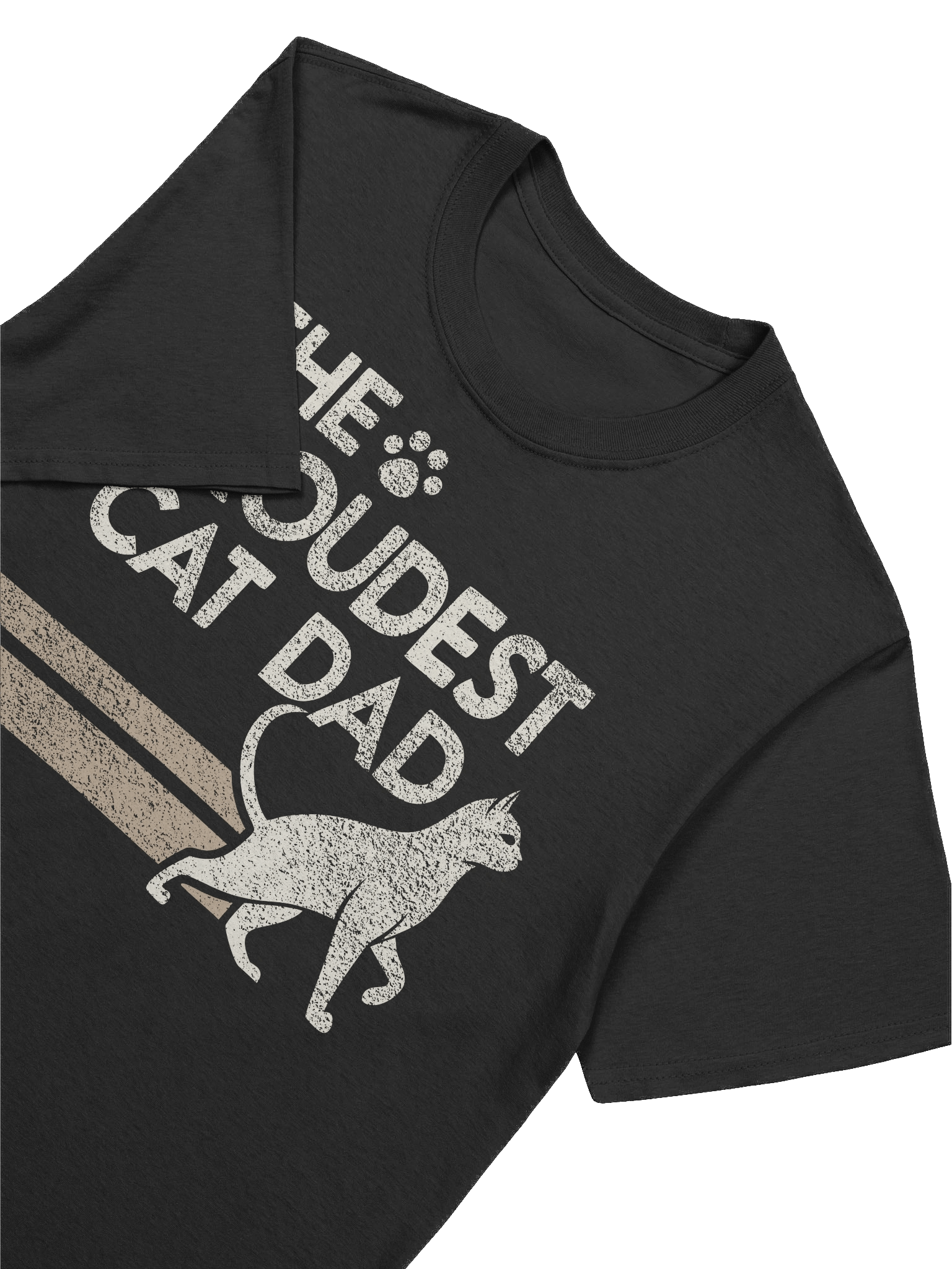 Proud Cat Dad T-Shirt product image (39)