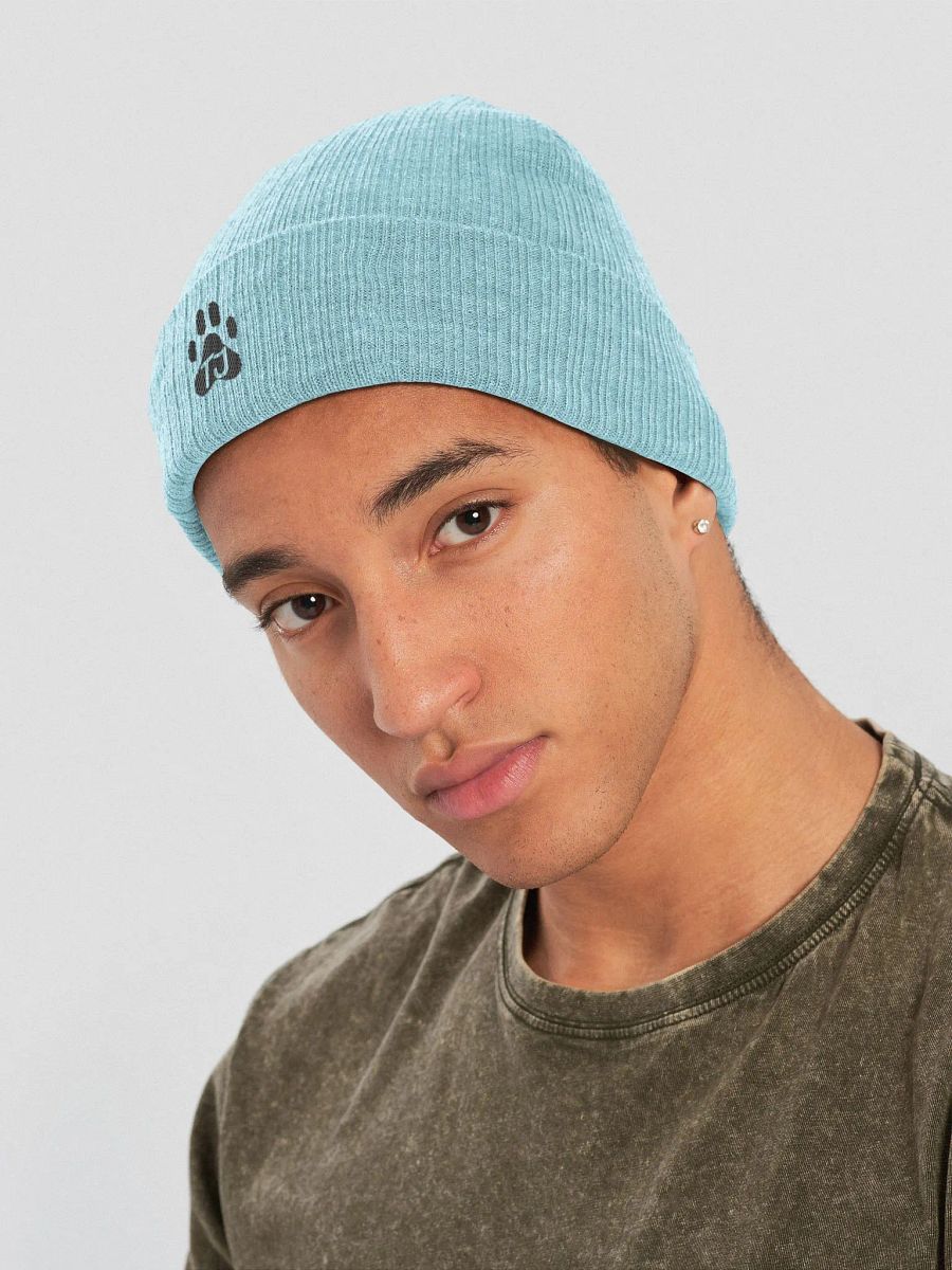 TJ Paw Recycled Cuffed Beanie (black detail) product image (20)