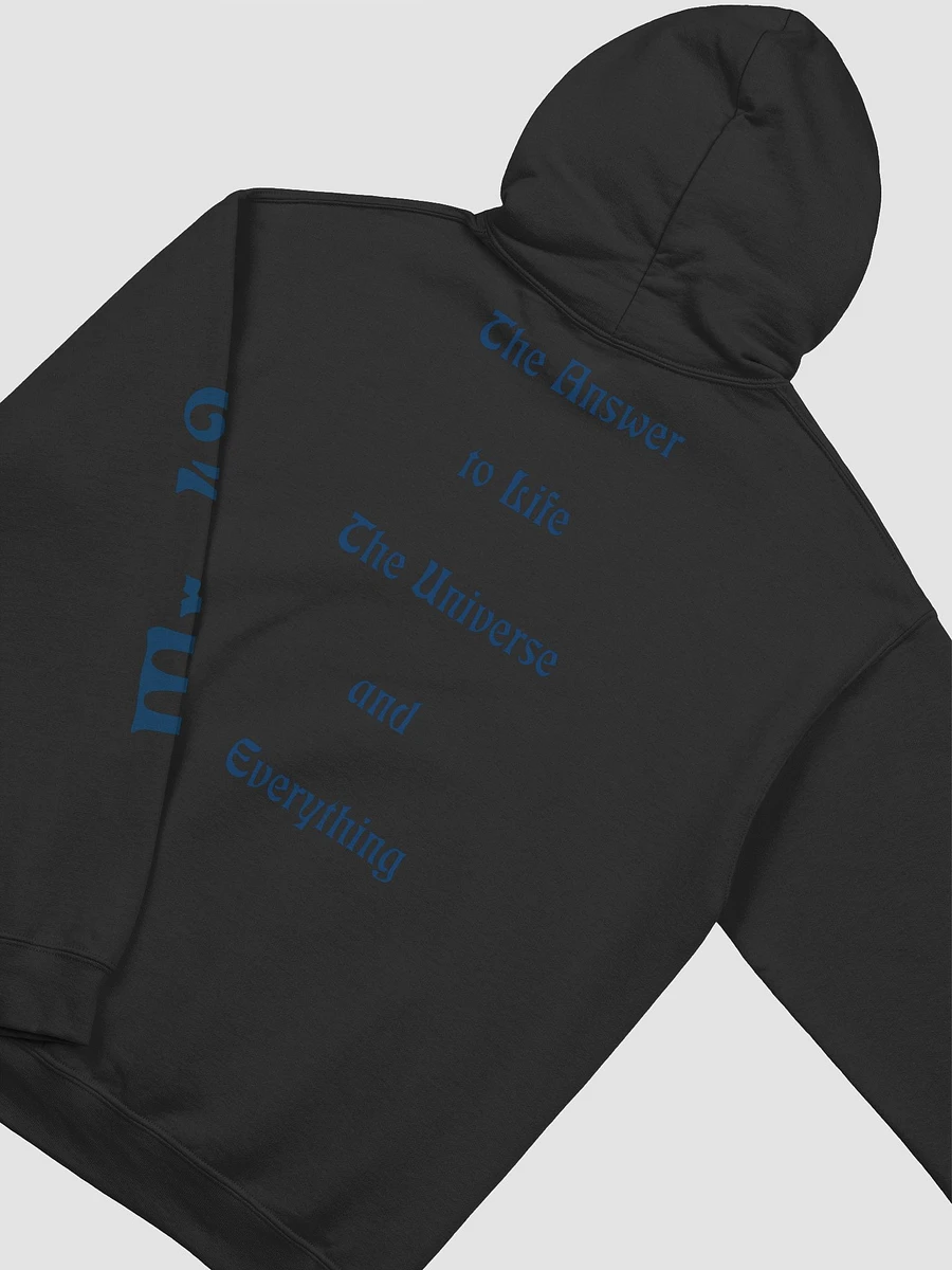 Hoodie - The Answer product image (4)