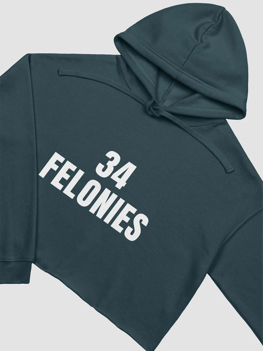Pris-3 FELONIES-Bella+Canvas Fleece Crop Hoodie product image (16)