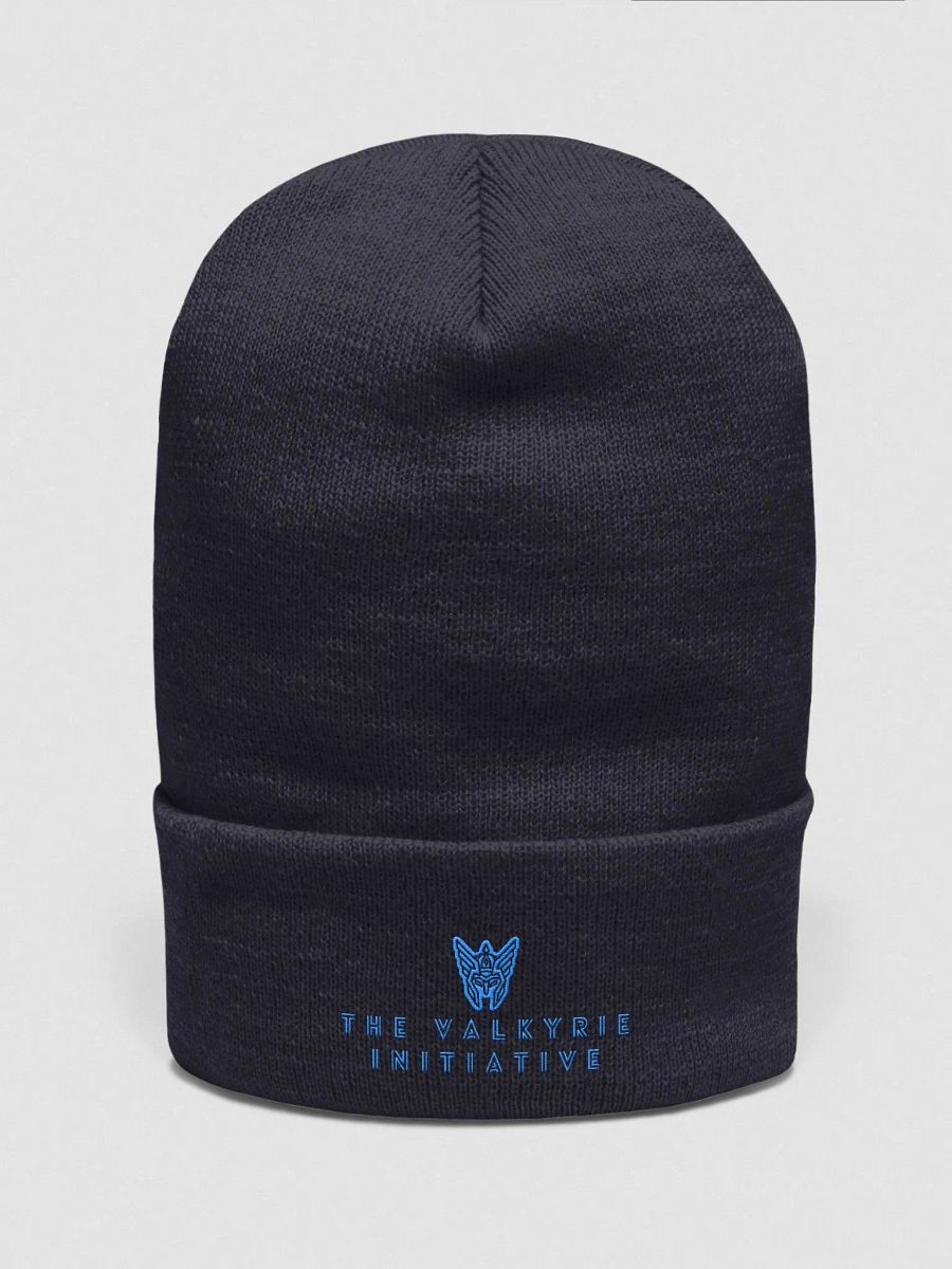 Beanie w/ Blue Logo product image (4)