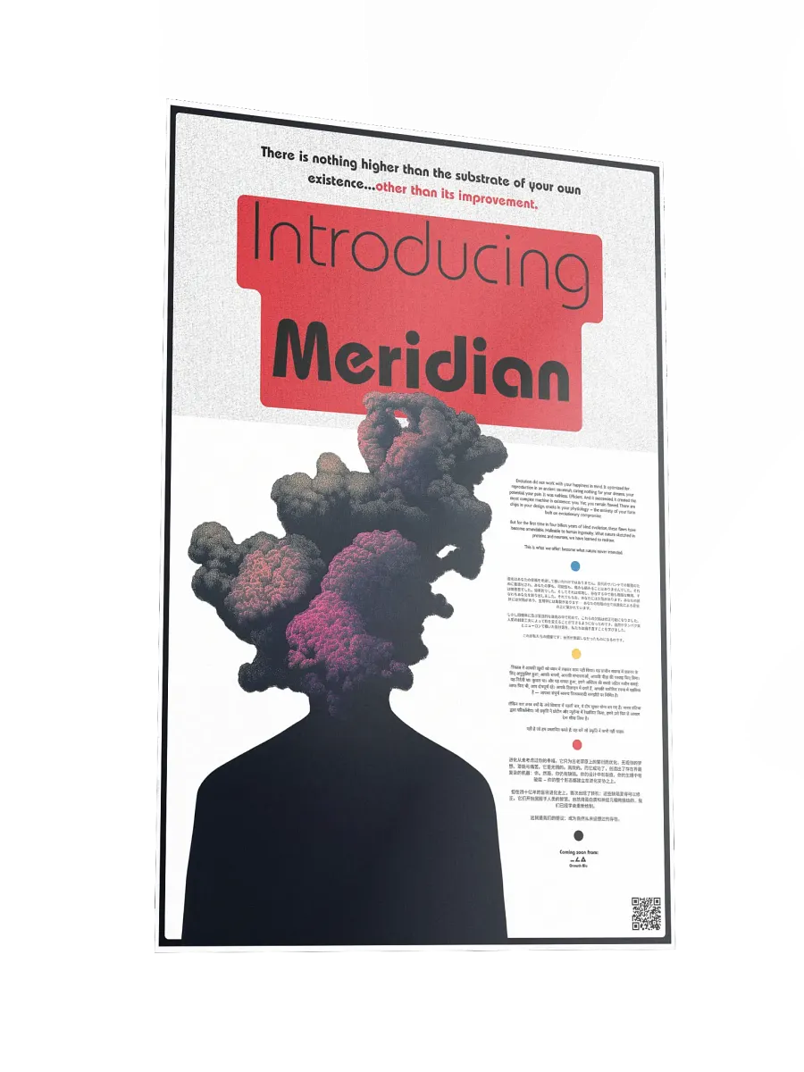 introducing meridian product image (5)