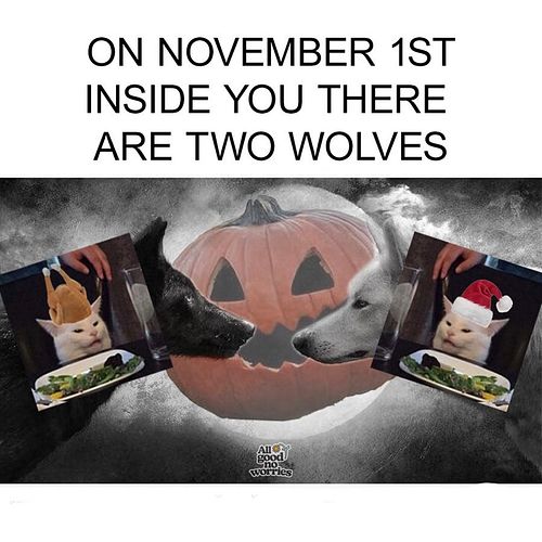 'Tis the season, but is it Thanksgiving or Christmas? Or, plot twist, neither? 🐺🦃🎄🤔

#memes #thanksgiving #christmas