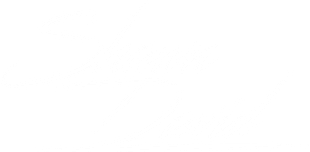 ShawnDavid