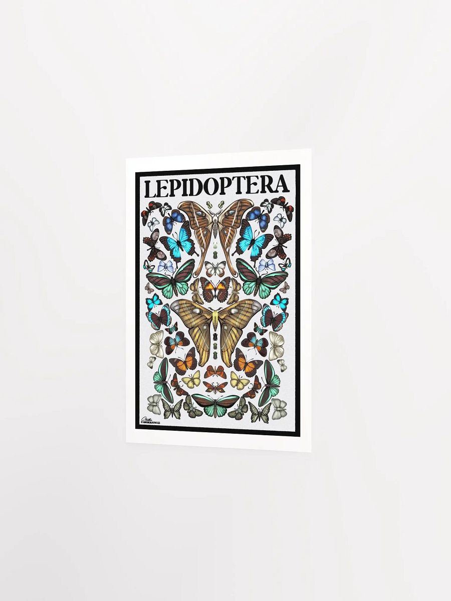 "Lepidoptera" Poster product image (2)