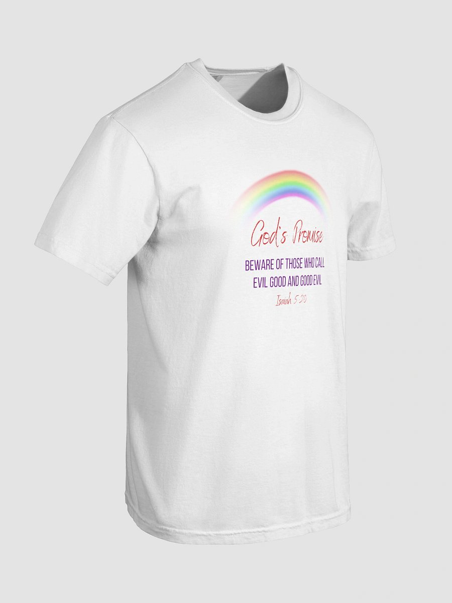 God's Rainbow Heavyweight T-Shirt product image (8)