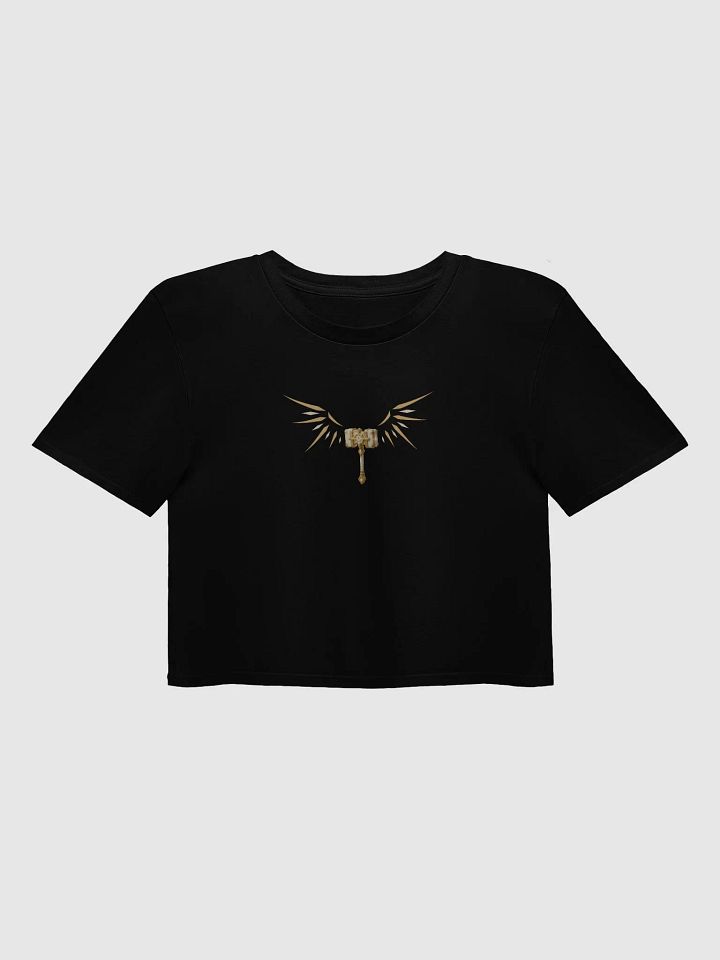 WingsIsUp Crop Top product image (1)