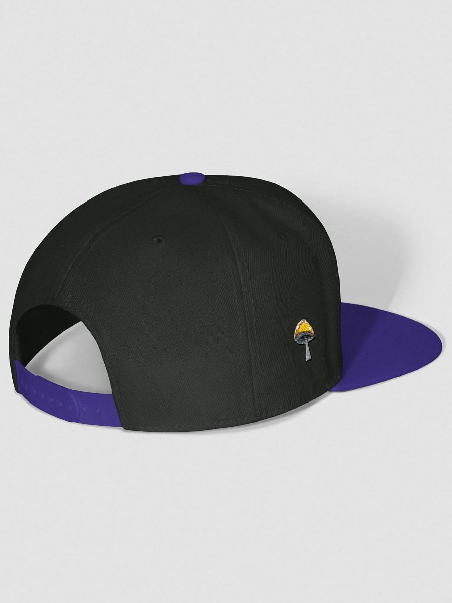 JokersVIBE Snap Back Emboridery style hat product image (3)