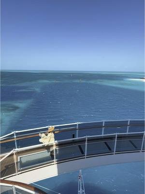 Enjoying the view from the infinity bridge. Would you walk on it with me? #travel