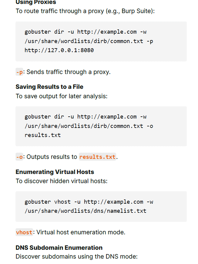 Web Hacking & Pentesting Study Notes product image (4)