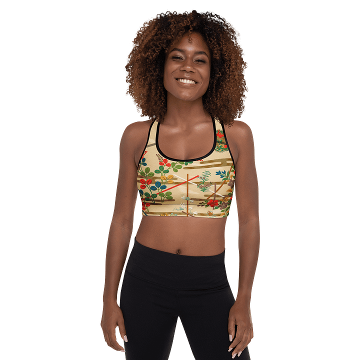 Vintage Painting. Sports Bra product image (1)