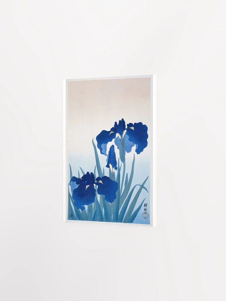 Iris Flowers by Ohara Koson product image (2)