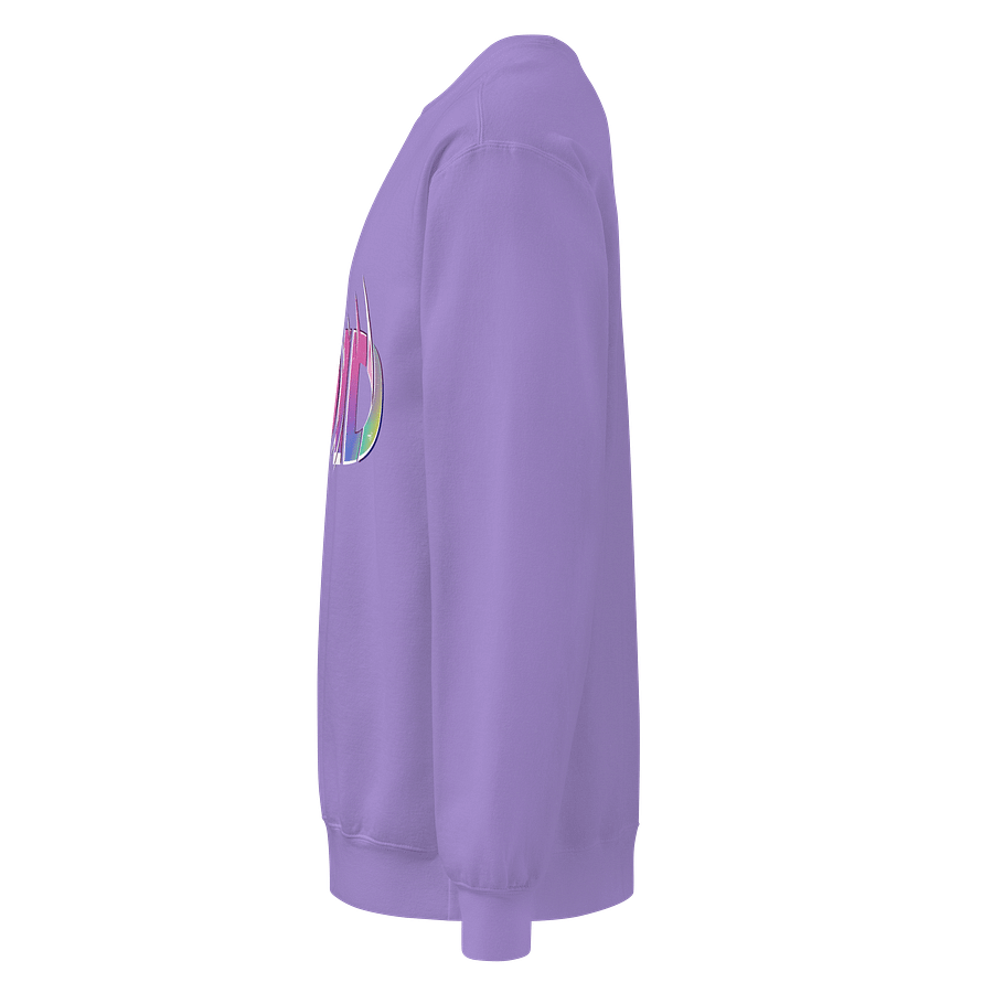Lost Records: Bloom & Rage Autumn's VOID Sweatshirt product image (15)