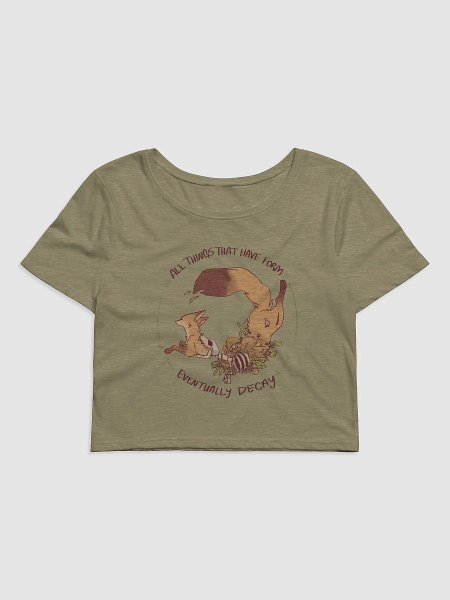All Things Decay Croptop product image (2)