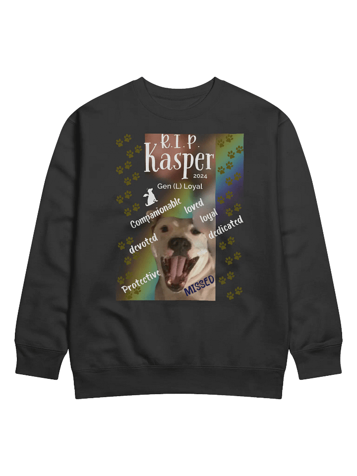 Rainbow Memorial Tribute Sweatshirt product image (1)
