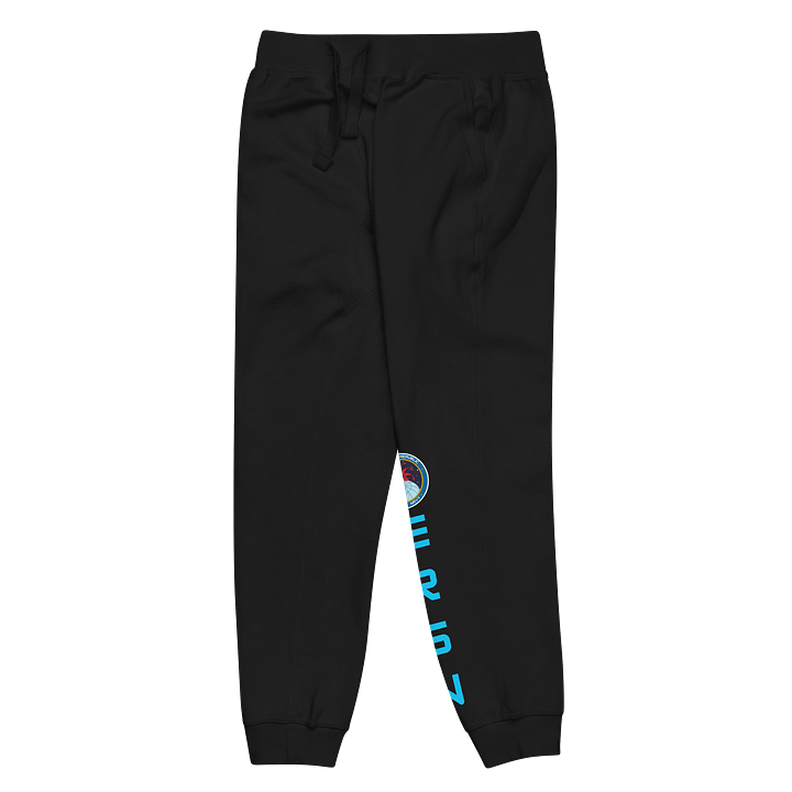 Starship Valkyrie ERSN Logo Fleece Joggers product image (5)