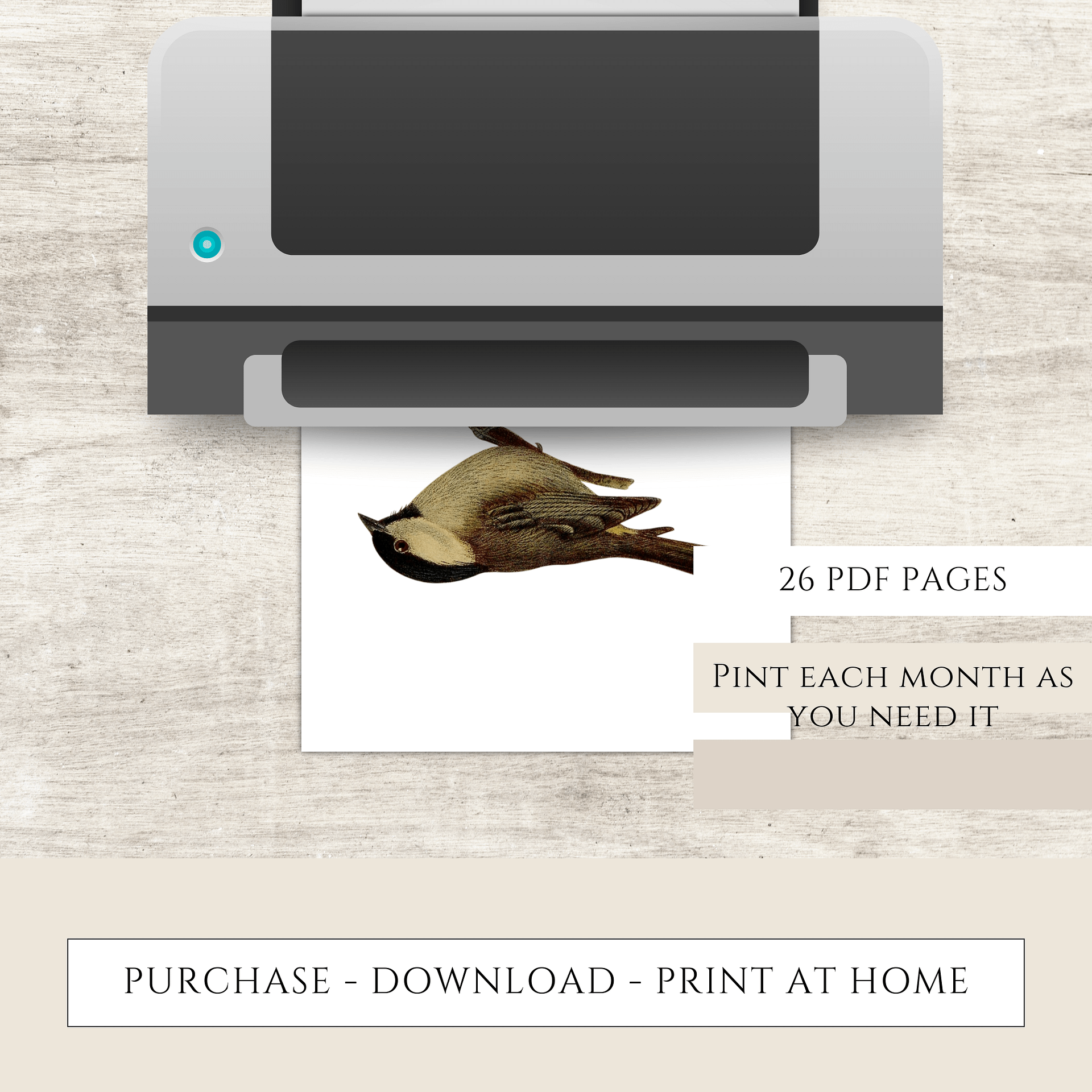 2025-2026 PDF Calendar: American Birds product image (9)