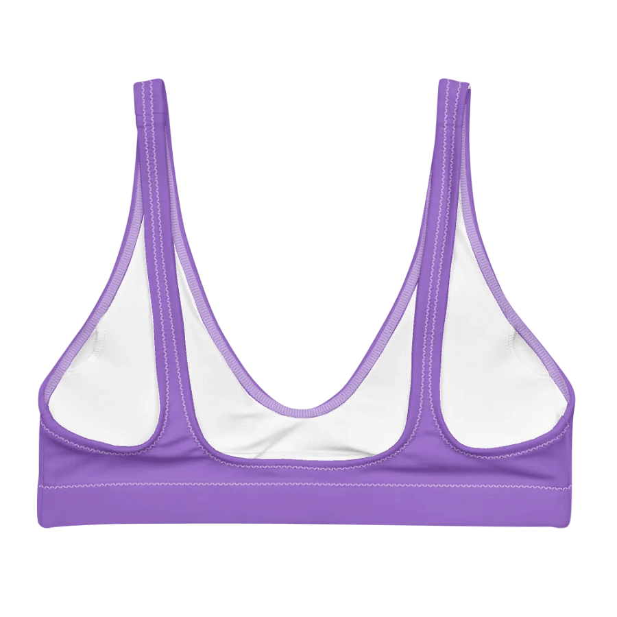 Plain Color Amethyst Padded Bikini Top product image (6)