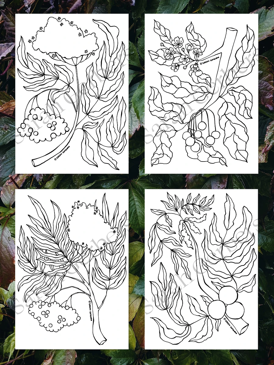 Fruit Tree Coloring Pages Printable product image (2)