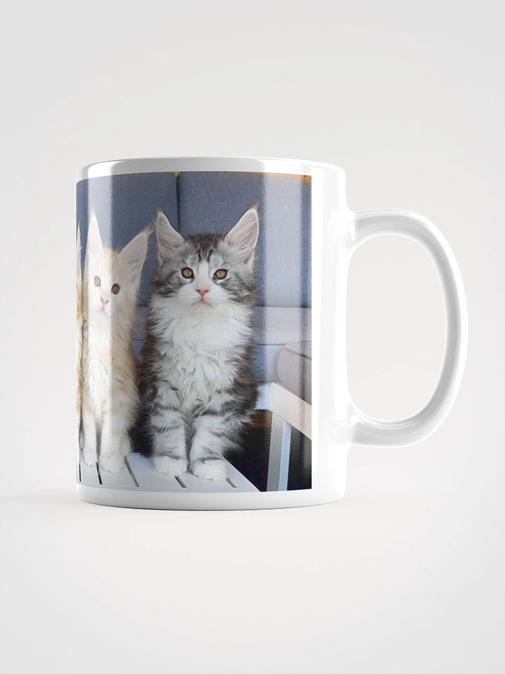 Maine Coon Kittens Mug product image (1)