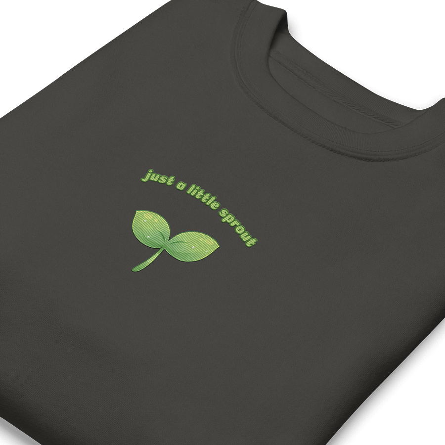 Just a little Sprout Embroidered Sweatshirt product image (5)