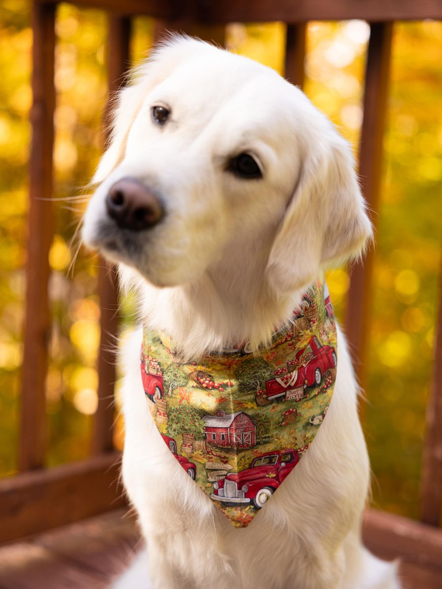 Golden Vintage Autumn Bandana product image (3)