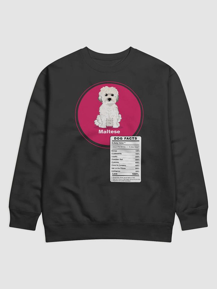 Maltese Dog breed adorable Facts product image (1)