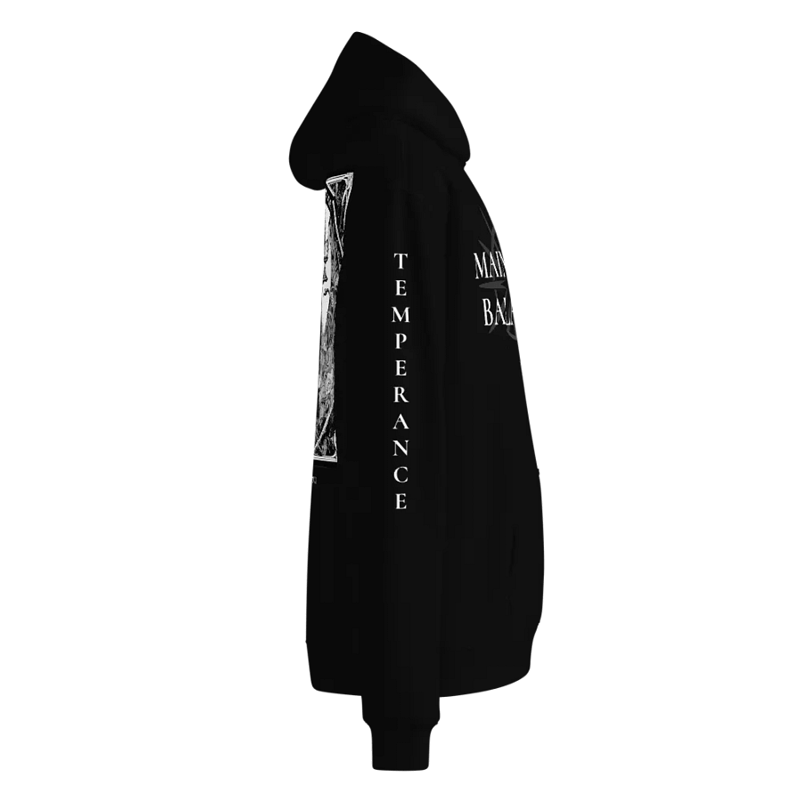 14 - Temperance Oversized Hoodie product image (4)
