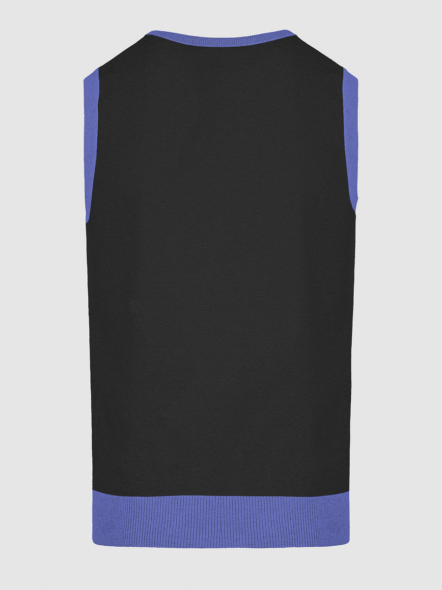 Sky-High Vibe Knit Vest product image (19)