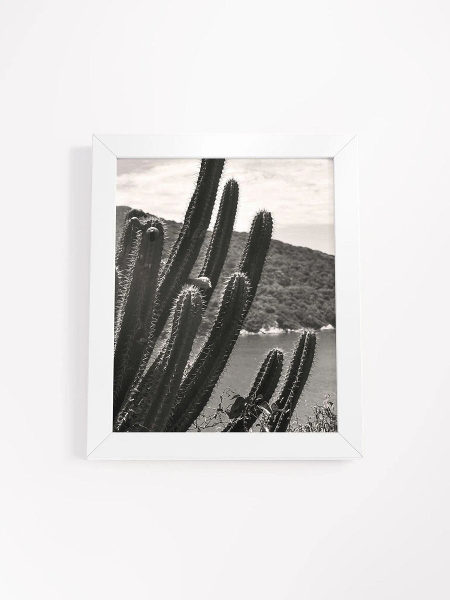 Mexico Lindo - Framed High-Quality Matte Poster product image (1)