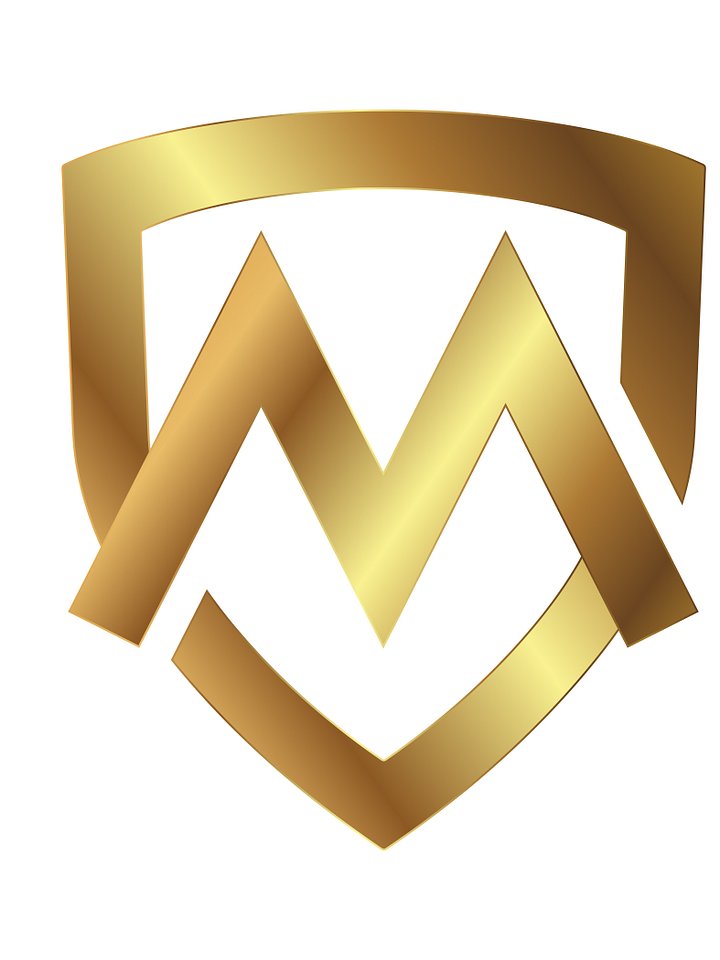 Customisable Smart Luxury Logo Design for Your Premium Brand product image (1)