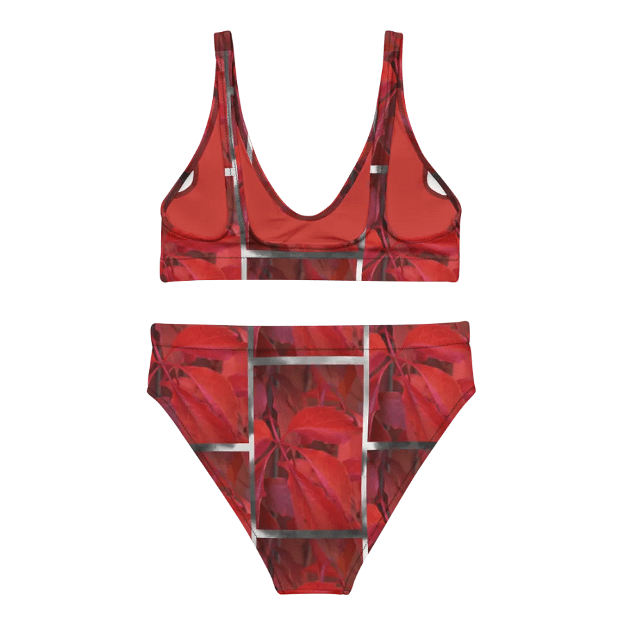 High-Waisted Bikini Set: Vildvin Red Dreams product image (3)