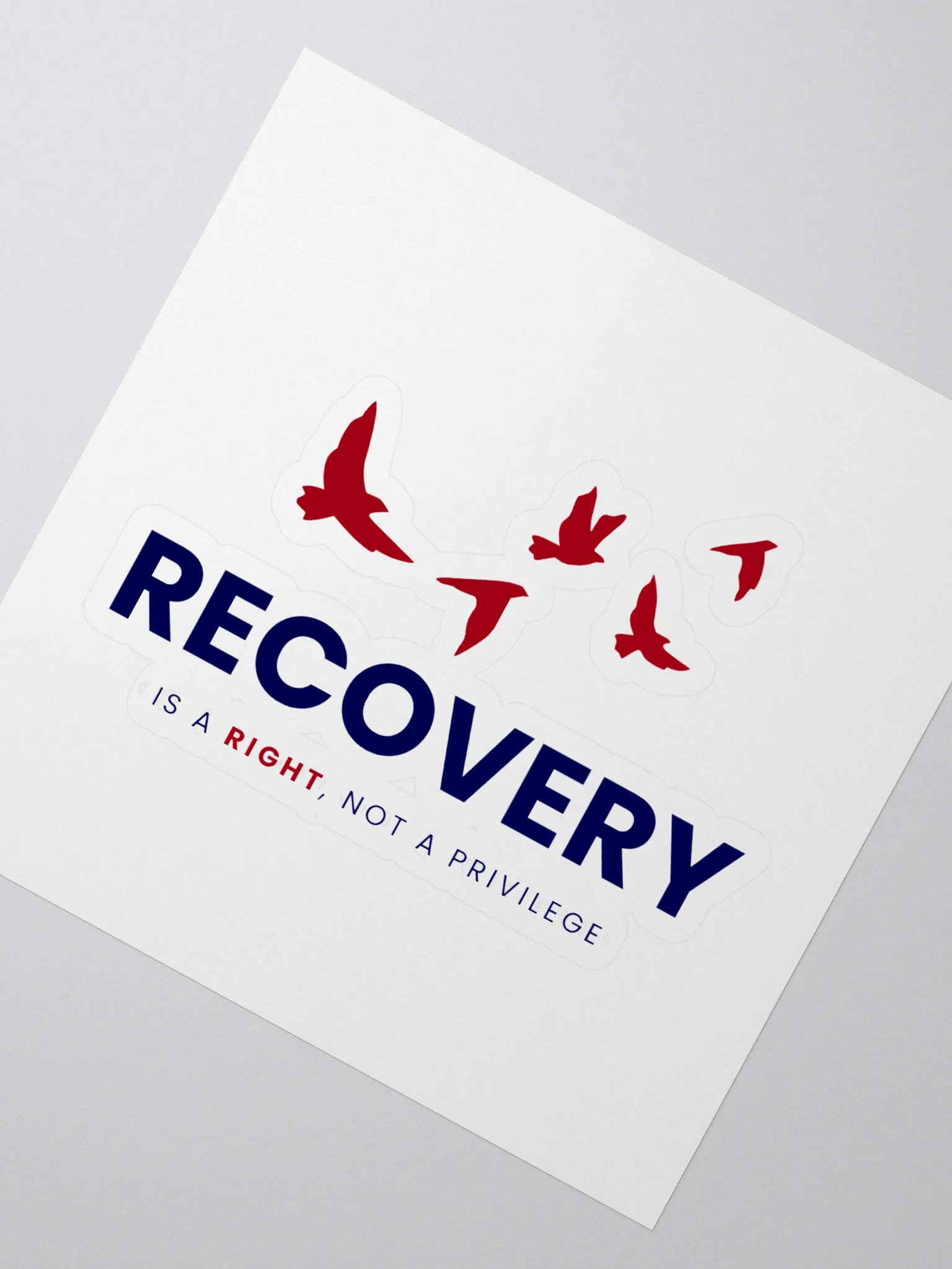Recovery is a Right, Not a Privilege product image (2)