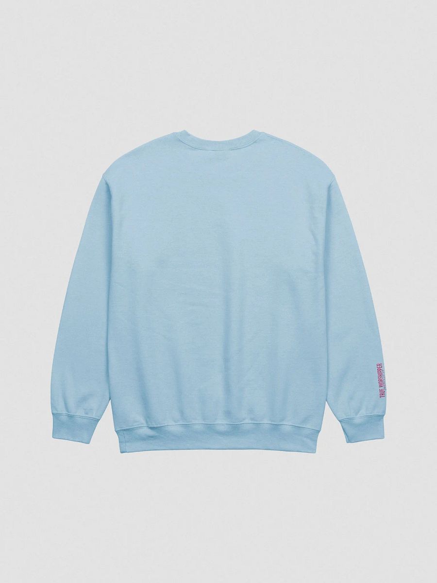 The Lifted Hands Worshipper Embroidered Sweatshirt | Light Colors product image (2)