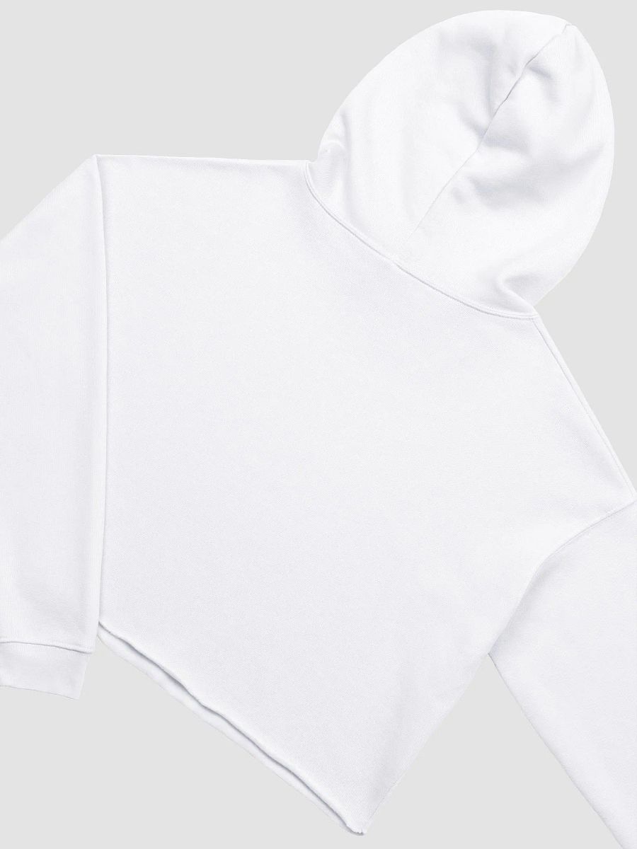 Crop Hoodie - Aerinda product image (32)