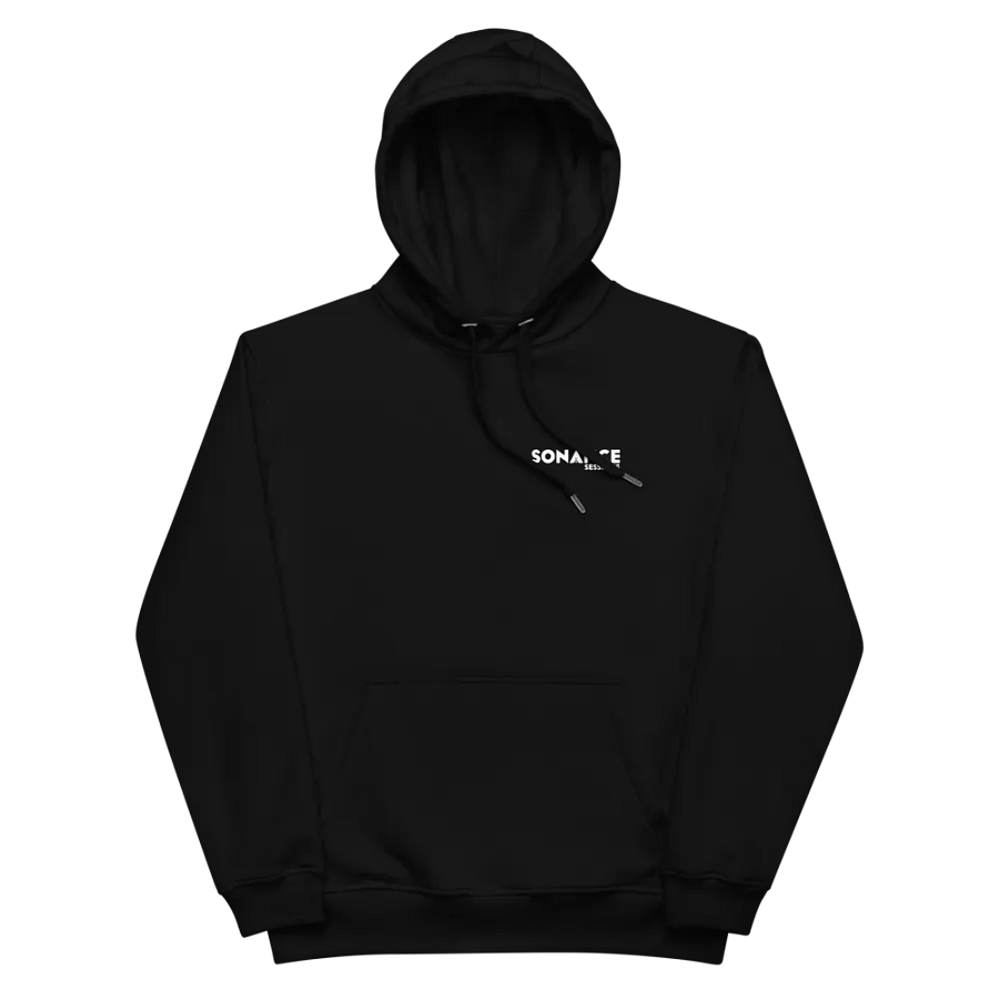 Premium Unisex Eco Hoodie product image (3)