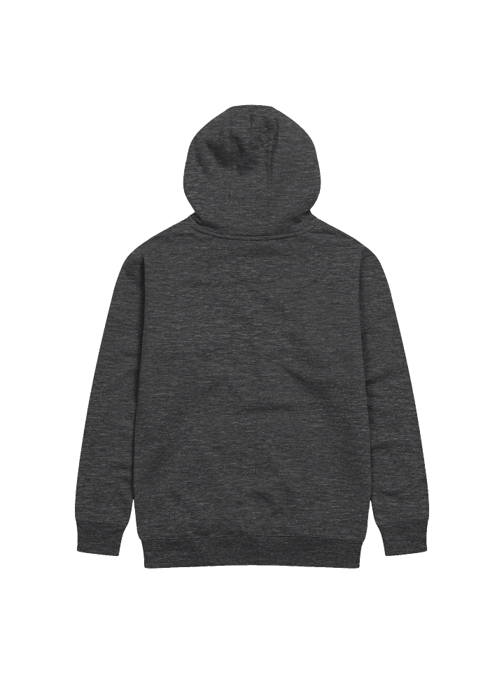 Born to Punt Hoodie product image (12)