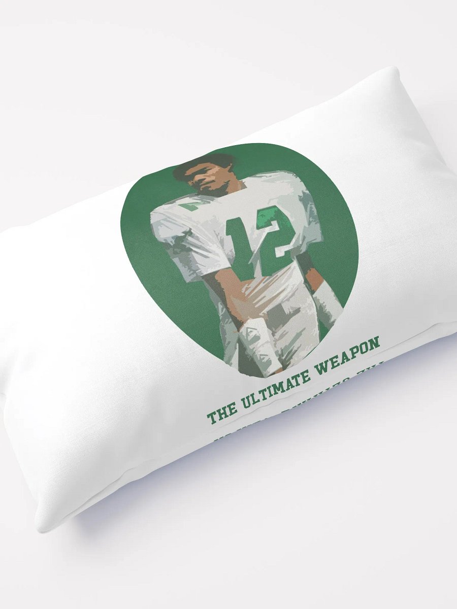 #12 THROW PILLOW product image (9)