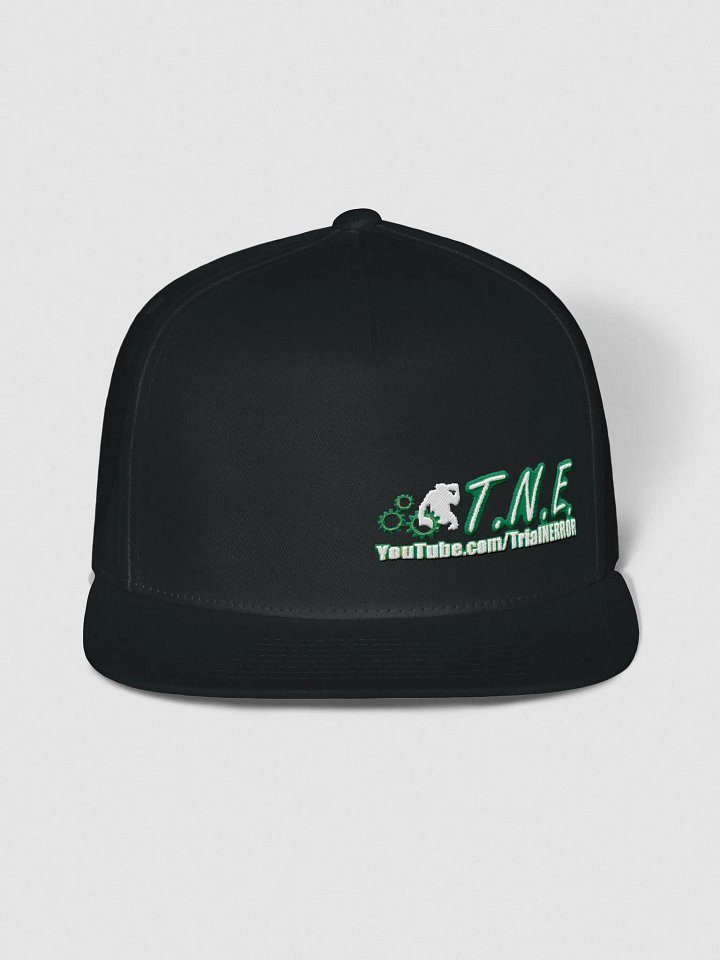 Embroidered TNE Logo Cap product image (1)
