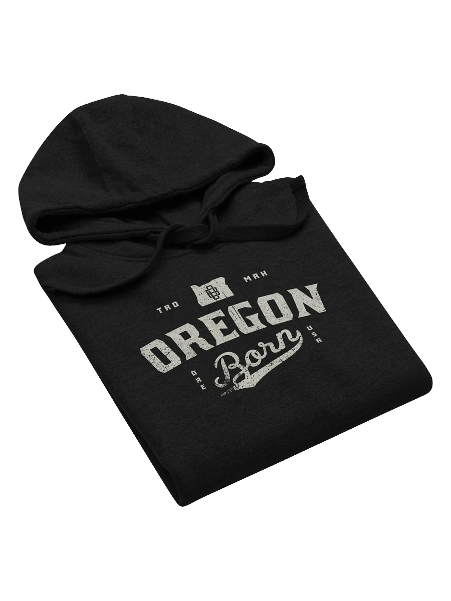 Oregon Born Vintage Collegiate Hoodie product image (5)