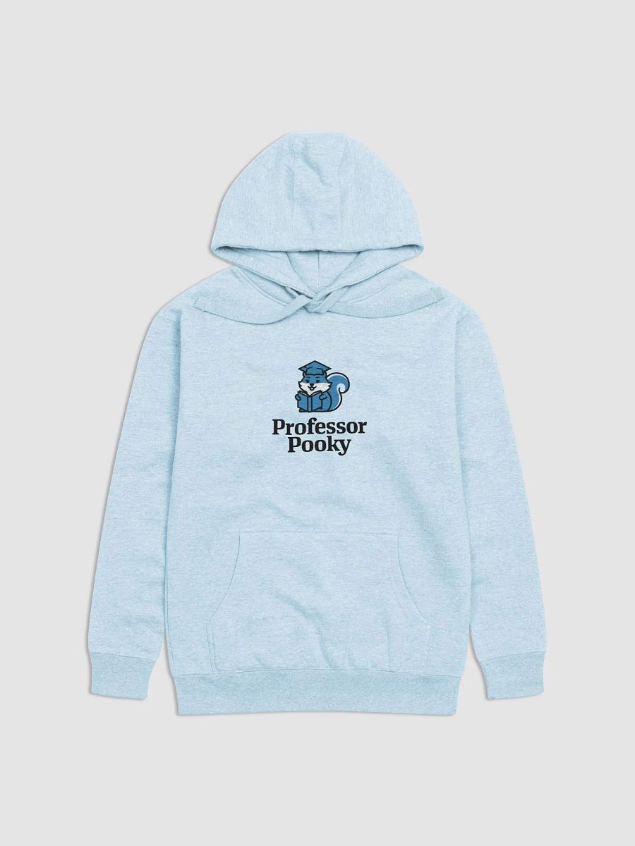 Super Soft Hoodie: Professor Pooky product image (1)
