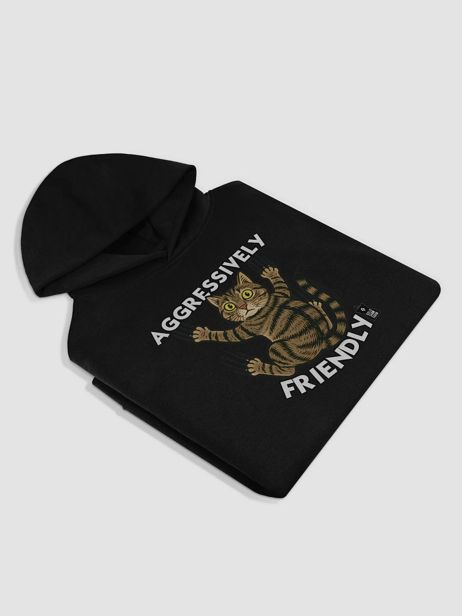 Ginny Barn Cat "Aggressively Friendly" Hoodie product image (12)