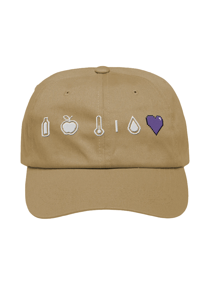 HollyRex X DayZ Icons Classic Dad Hat product image (5)