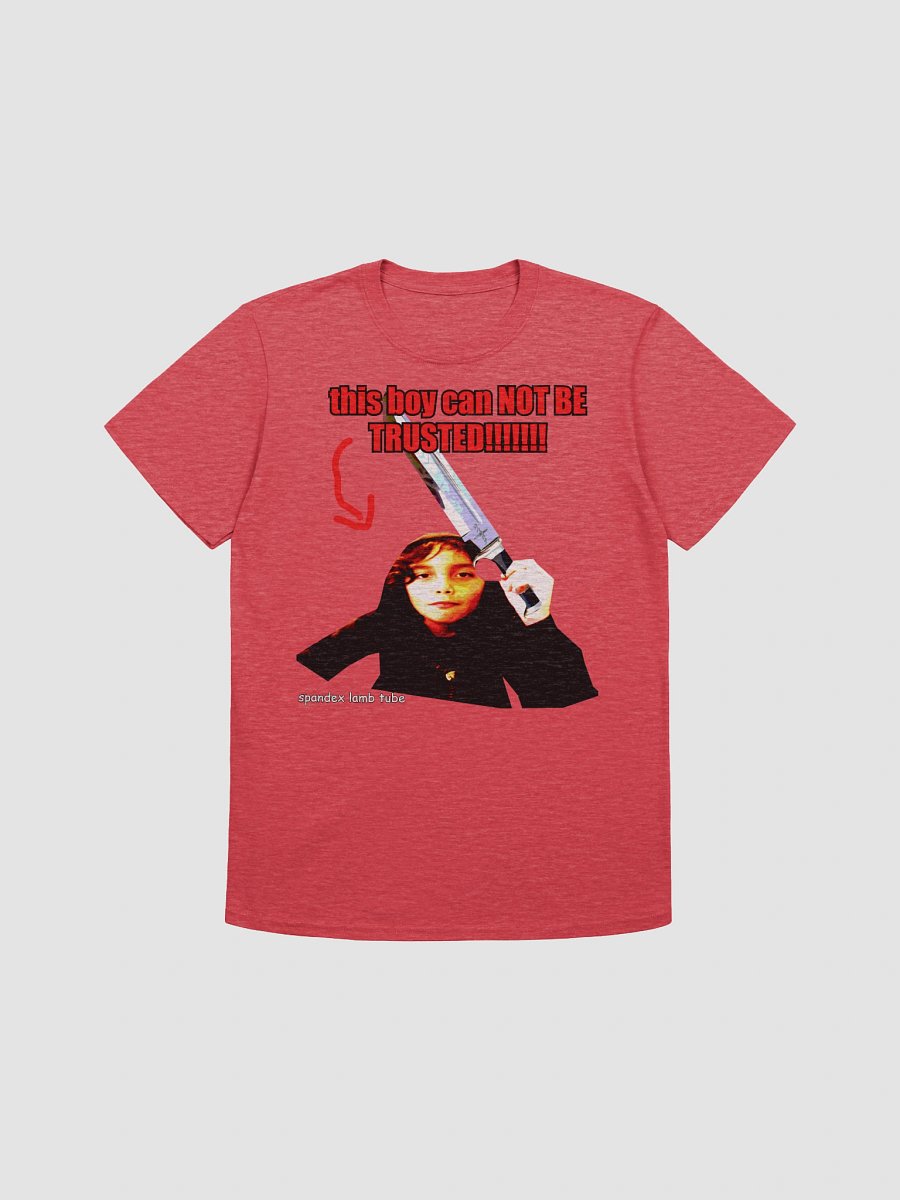 this boy can NOT BE TRUSTED!!!!!!!!!!!!! product image (3)